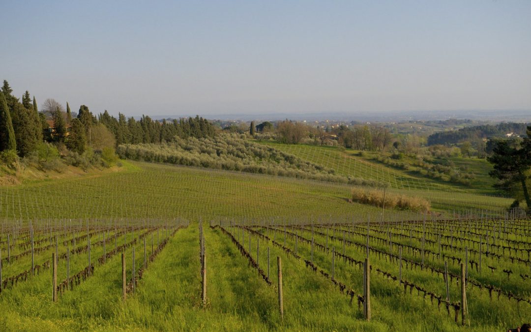 Venerdì 17 marzo a Palazzo Boccella un seminario sul tema ‘Il paesaggio agricolo che abbiamo ereditato’