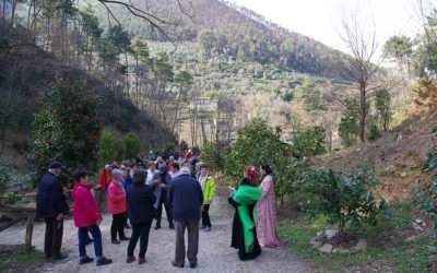 Venerdì 5 luglio prende il via la Rassegna musicale ‘I concerti del Camellietum’